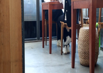 The girl in sneaker great dipping shoeplay