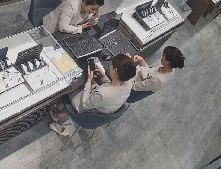 We can see their feet type clearly